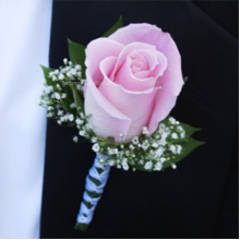 Pink Roses Boutonnieres